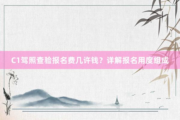C1驾照查验报名费几许钱？详解报名用度组成
