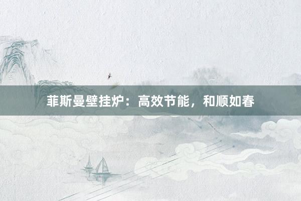 菲斯曼壁挂炉：高效节能，和顺如春