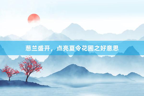 葱兰盛开，点亮夏令花圃之好意思