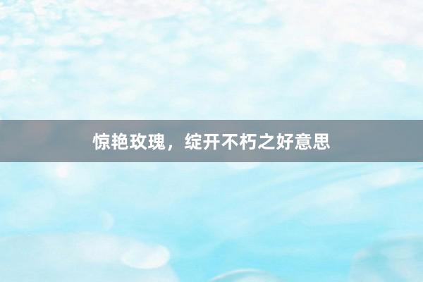 惊艳玫瑰，绽开不朽之好意思