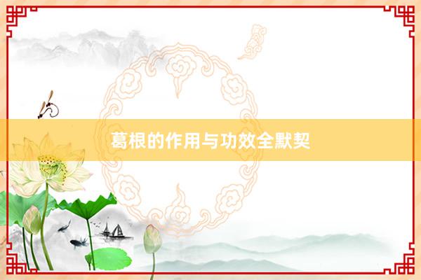 葛根的作用与功效全默契